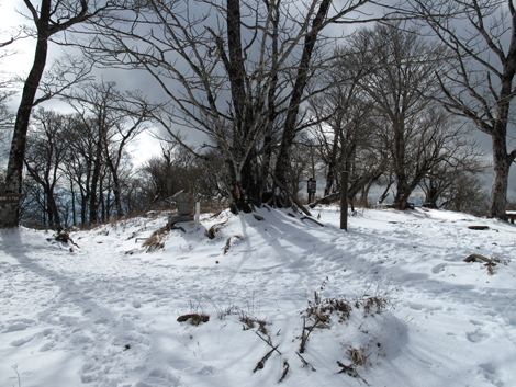 20160218hike (251)